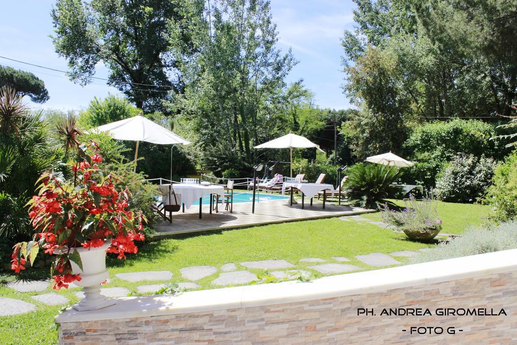 Hotel Nedy Marina di Massa Dış mekan fotoğraf